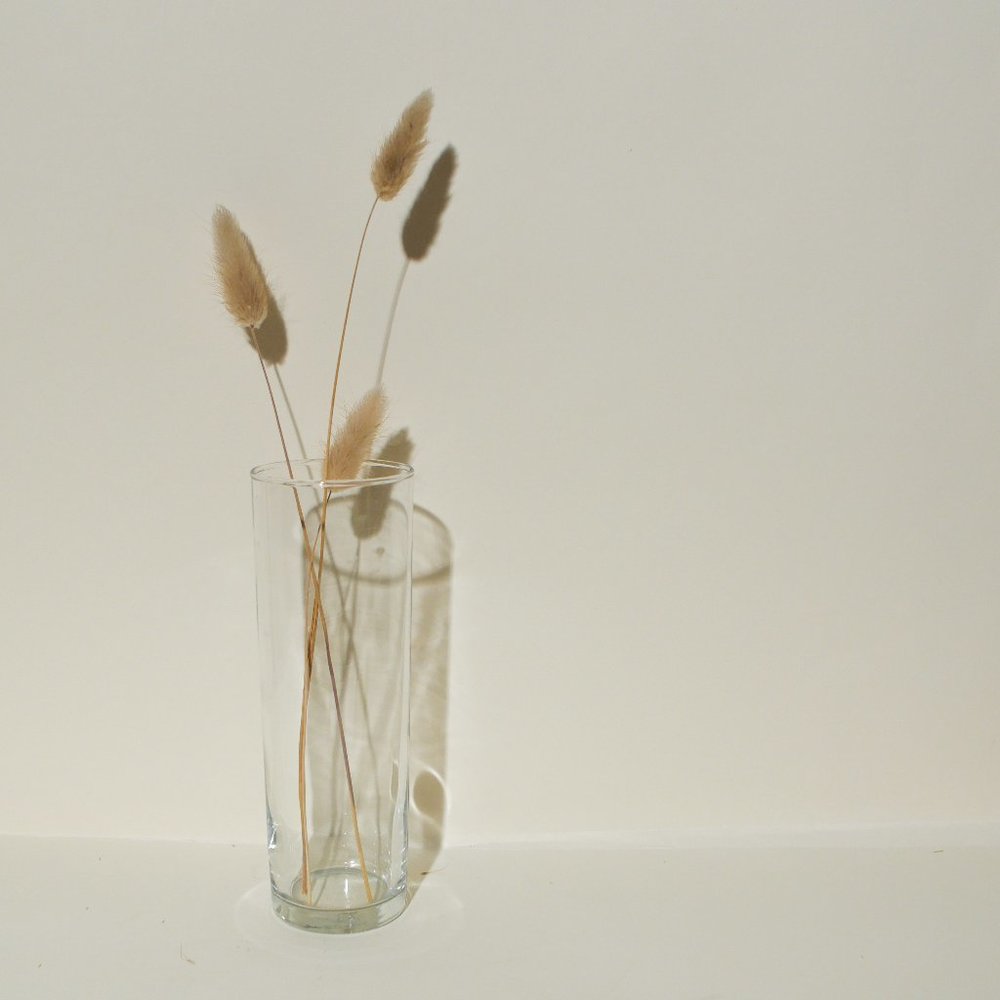 (3) Flute Glasses